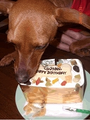 �~�j�`���A�s���V���[�@���b�h