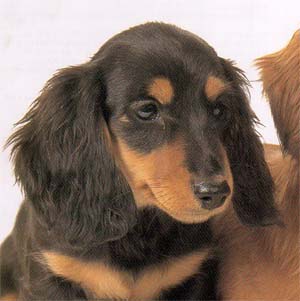 �~�j�`���A�_�b�N�X�t���h