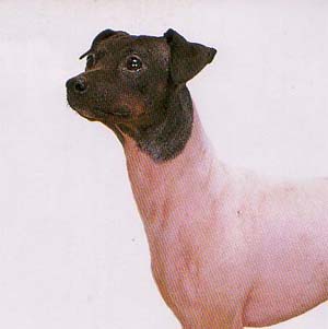 ���{�e���A