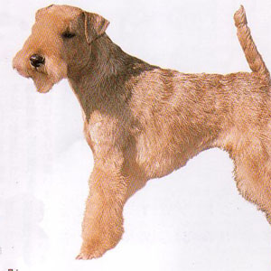 ���[�N�����h�e���A